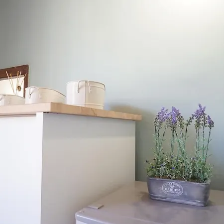 Gaudin * Bastia (Corsica)